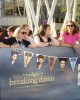 The Fans at the World Premiere of THE TWILIGHT SAGA: BREAKING DAWN - PART 2 | ©2012 Sue Schneider