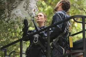 Brennan (Emily Deschanel, L) and Hodgins (TJ Thyne, R) investigate remains found in a tree wrapped in a cocoon in BONES | (c) 2013 Patrick McElhenney/FOX