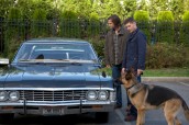 Jared Padalecki and Jensen Ackles in SUPERNATURAL - Season 9 - "Dog Dean Afternoon" | ©2013 The CW/Jack Rowand
