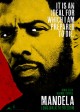MANDELA: LONG WALK TO FREEDOM movie poster | ©2013 The Weinstein Company