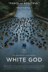 WHITE GOD | © 2015 Magnolia Pictures