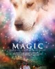 MAGIC poster