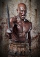 Peter Mensah in SPARTACUS: GODS OF THE ARENA | ©2011 Starz