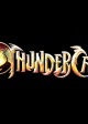 THUNDERCATS logo | ©2011 Warner Bros.