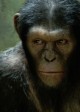 Andy Serkis is Caesar in RISE OF THE PLANET OF THE APES | ©2011 20th Century Fox
