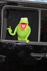Kermit at the World Premiere of Disney's THE MUPPETS | ©2011 Sue Schneider