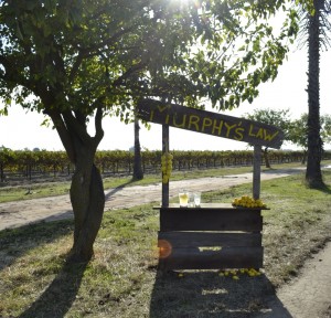 GHOST OF THE ROBOT - MURPHY'S LAW | ©2011 Ghost of the Robot