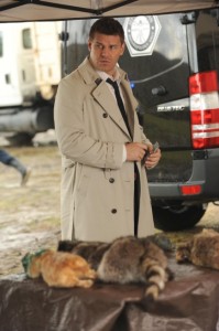 David Boreanaz in BONES - Season 7 - "The Don't In The Do" | ©2012 Fox/Ray Mickshaw David Boreanaz in BONES - Season 7 - "The Don't In The Do" | ©2012 Fox/Ray Mickshaw