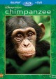 CHIMPANZEE | (c) 2012 Disney Home Entertainment