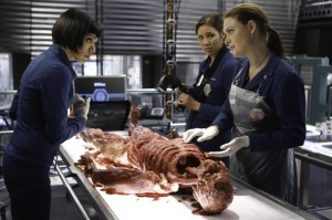   Cam (Tamara Taylor), Angela (Michaela Conlin) and Brennan (Emily Deschanel) examine the remains found on top of the canopy | (c) 2013 Jordin Althaus/FOX