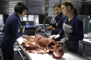 Cam (Tamara Taylor), Angela (Michaela Conlin) and Brennan (Emily Deschanel) examine the remains found on top of the canopy | (c) 2013 Jordin Althaus/FOX