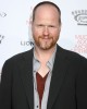 Joss Whedon at the Los Angeles Premiere Screening of MUCH ADO ABOUT NOTHING | ©2013 Sue Schneider