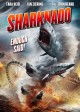 SHARKNADO poster | ©2013 Syfy