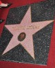 The Star at the 2,507th Star for Julianne Moore on the Hollywood Walk of Fame in Category of Motion Pictures | ©2013 Sue Schneider