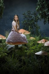 Sophie Lowe is Alice in ONCE UPON A TIME IN WONDERLAND - Season 1 | ©2013 ABC/Bob D'Amico
