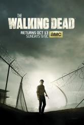 THE WALKING DEAD - Season 4 Key Art | ©2013 AMC