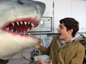 Dante Palminteri in SHARKNADO 2: THE SECOND ONE | courtesy Dante Palmenteri