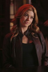 Adrianne Palicki stars as Bobbi Morse on MARVEL'S AGENTS OF SHIELD "A Fractured House" | © 2014 ABC/Adam Rose