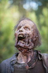 A gnarly walker that ends up getting spiked in the face during THE WALKING DEAD | © 2015 Gene Page/AMC