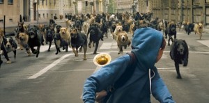 WHITE GOD | © 2015 Magnolia Pictures WHITE GOD | © 2015 Magnolia Pictures