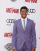 Ritesh Rajan at the World Premiere of ANT-MAN | ©2015 Sue Schneider