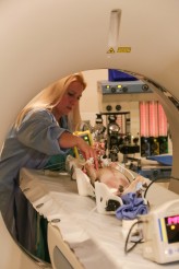Cornell technician Samantha Koba hooks up "Misty" the Chihuahua for an MRI exam | © 2015 National Geographic Channels/Lisa Tanzer