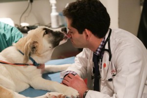 Fourth year student Sam Dicker gets a doggie kiss before an ultrasound in VET SCHOOL | © 2015 National Geographic Channels/Lisa Tanzer