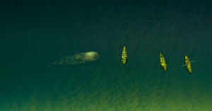 IN THE HEART OF THE SEA | ©2015 Warner Bros.