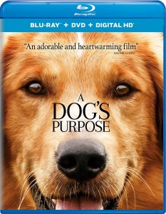 A DOG'S PURPOSE | © 2017 Universal Home Entertainment