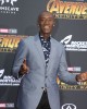 Don Cheadle at the World Premiere of Marvel Studios AVENGERS: INFINITY WAR