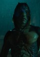 Doug Jones is the Amphibian Man in THE SHAPE OF WATER | ©2017 Fox Searchlight