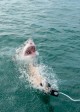 Chumming to attract Great Whites to be photographed as part of the color testing experiments in CAMO SHARKS | ©2022 National Geographic/Fiona Ayerst