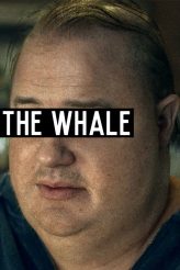 Brendan Fraser in THE WHALE | ©2022 A24.