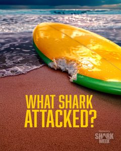SHARK WEEK: WHAT SHARK ATTACKED | ©2026 Discovery Channel