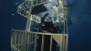 Kendyl Berna in a shark cage in SHARK WEEK : ULTIMATE SHARK DIVE | ©2026 Discovery Channel